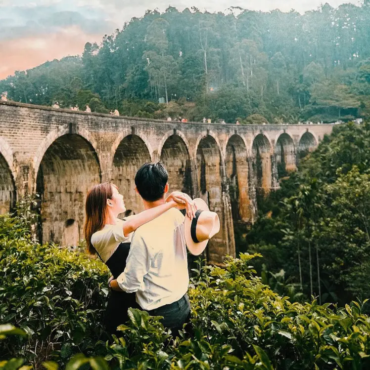 Misty rainforest landscape